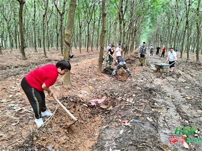 1701423856062048490.jpg 1701423856062048490.jpg