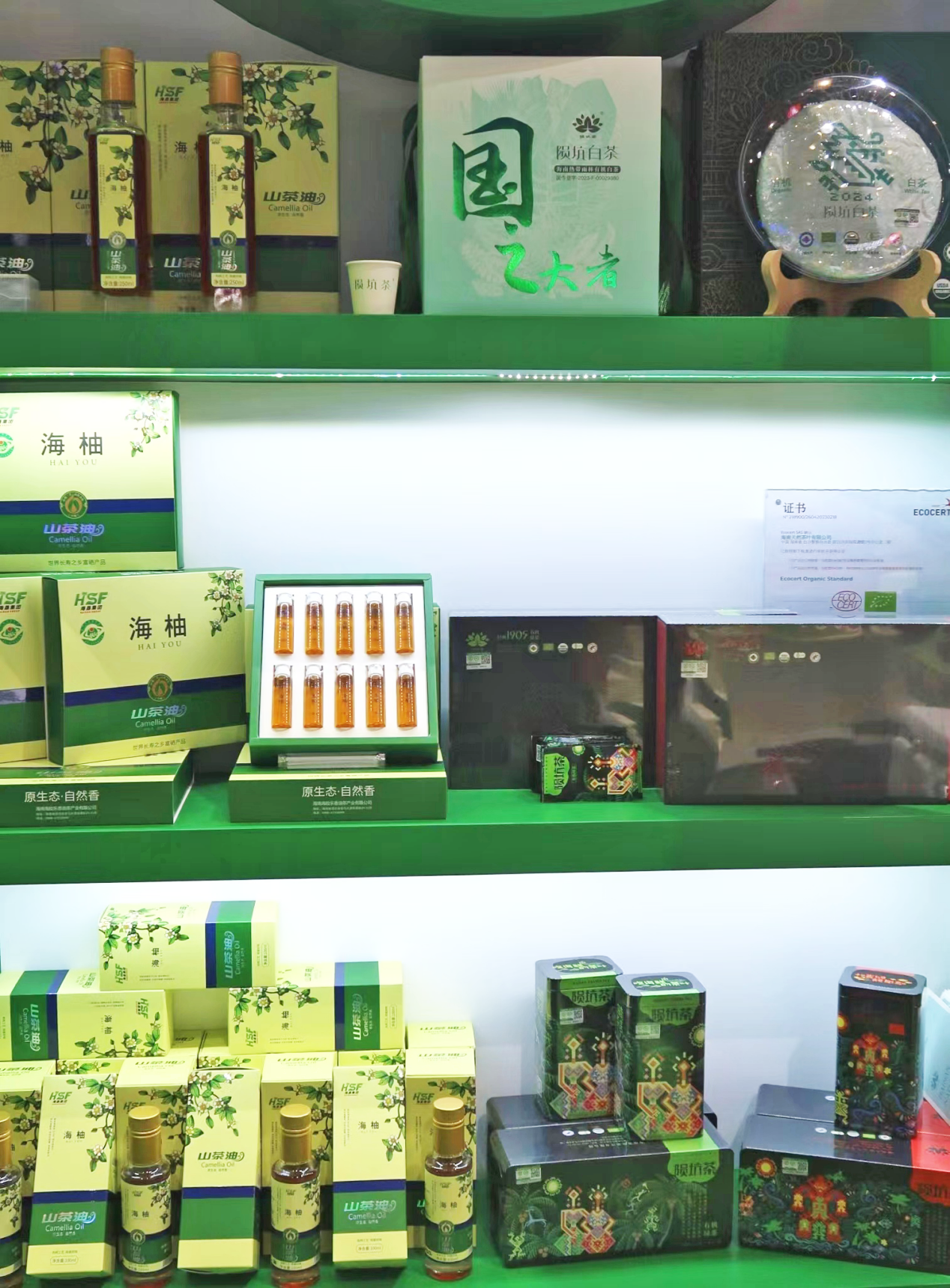 1702885945465003289.png 1702885945465003289.png