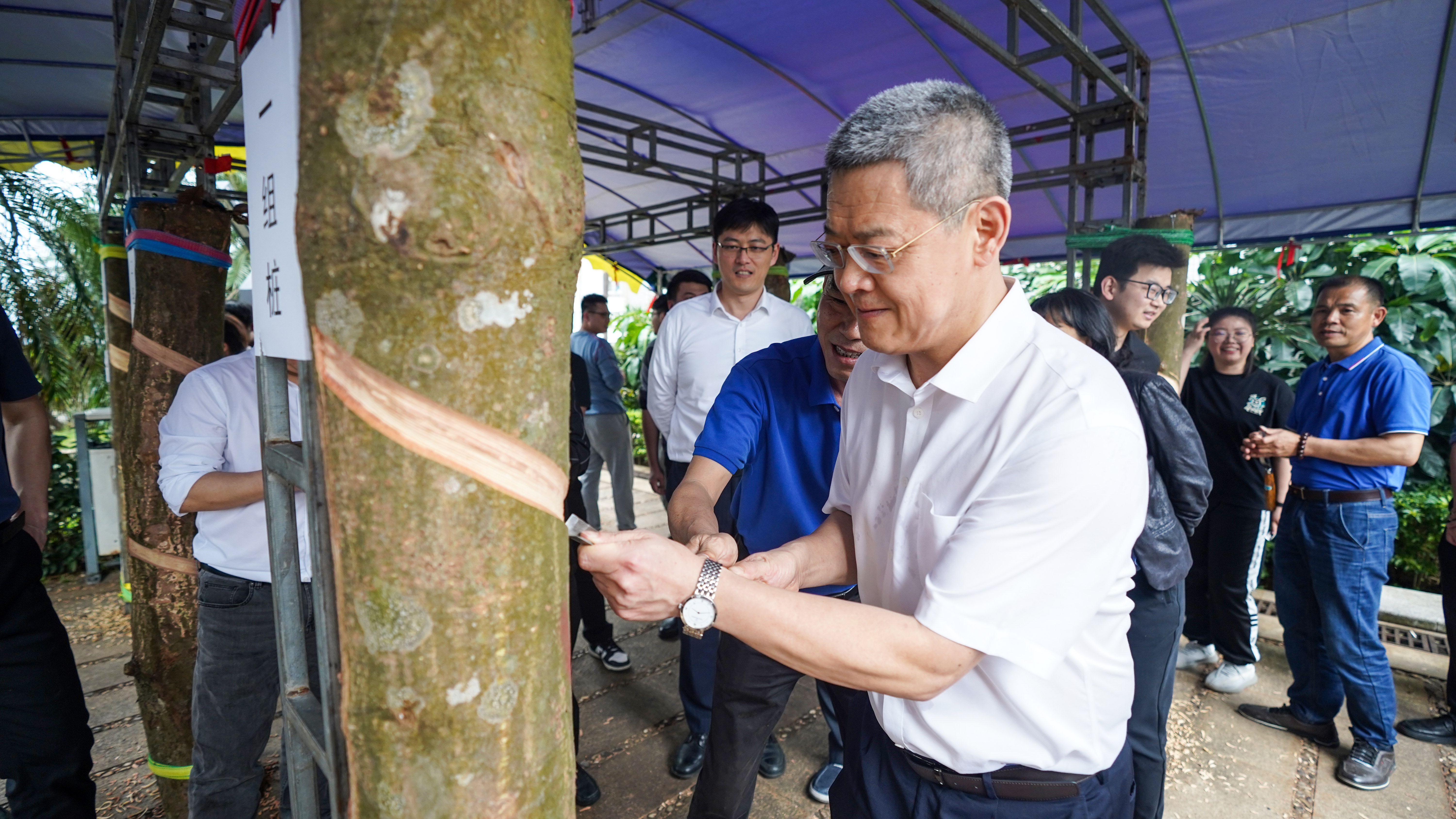 1710756265847057223.jpg 1710756265847057223.jpg